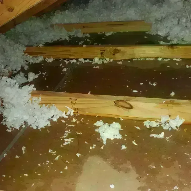 Attic Water Damage in Bellville, OH