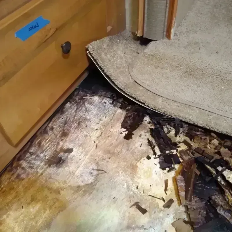 Wood Floor Water Damage in Bellville, OH